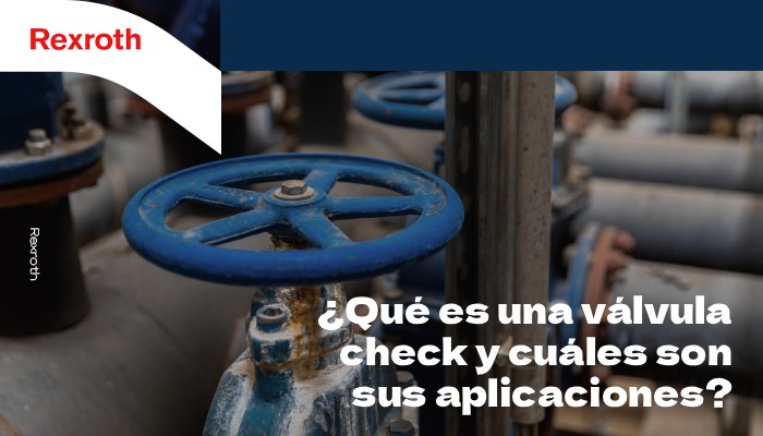Descubre que es una valvula check.